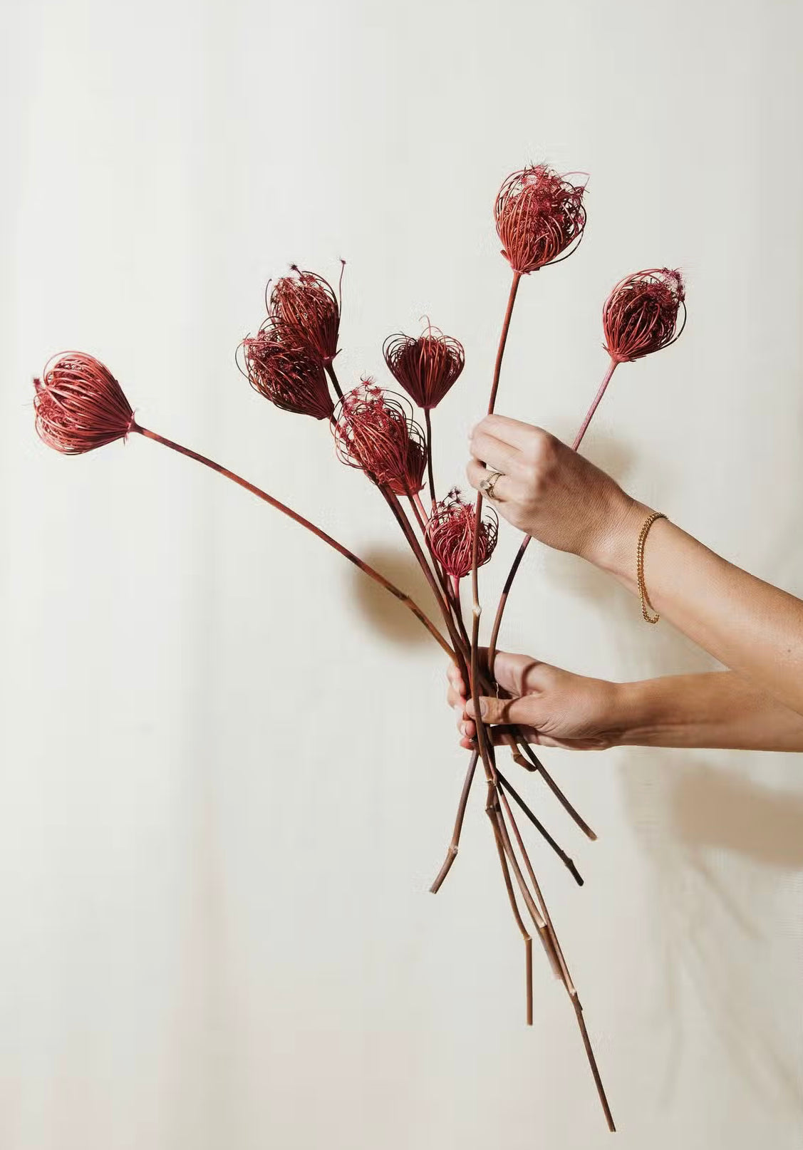 Pink Queen Anne’s Lace Bundle
