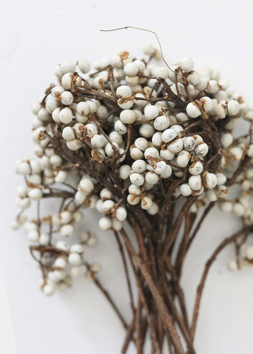 Tallow Berries Bundle
