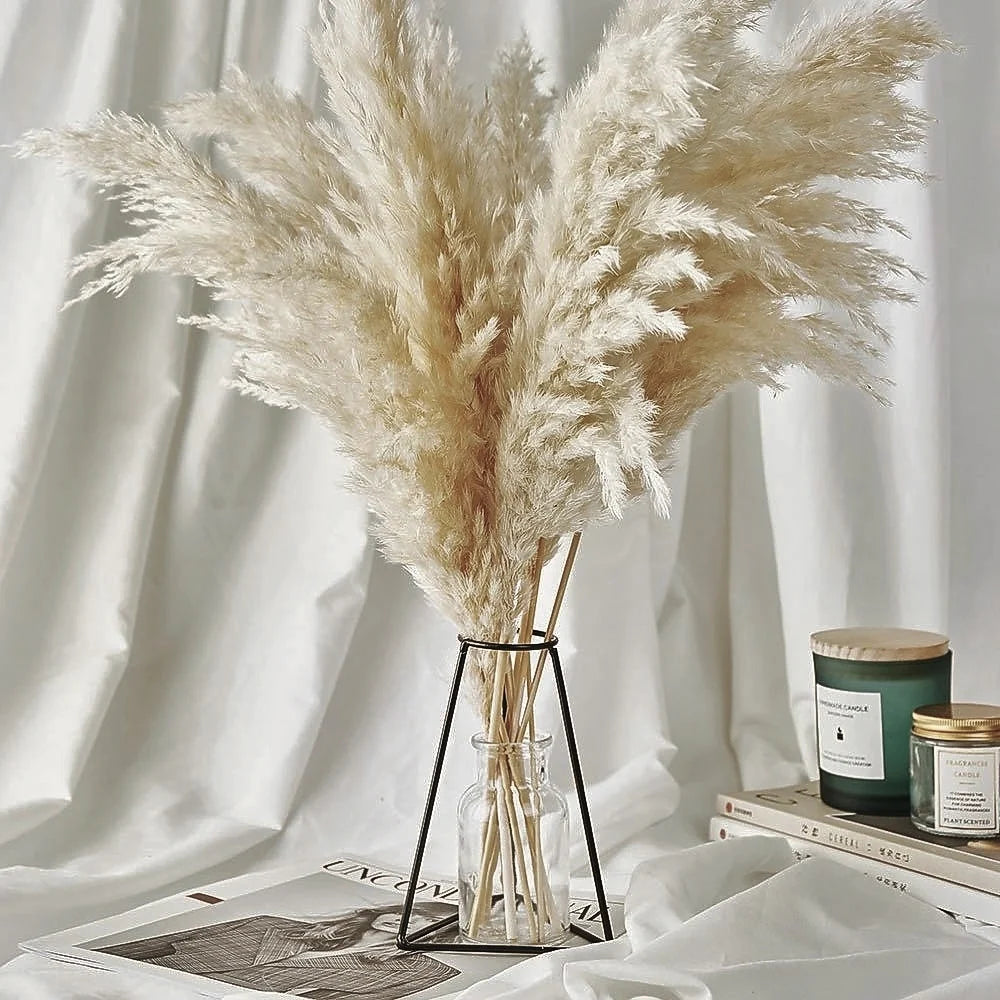 Fluffy Pampas per Stem