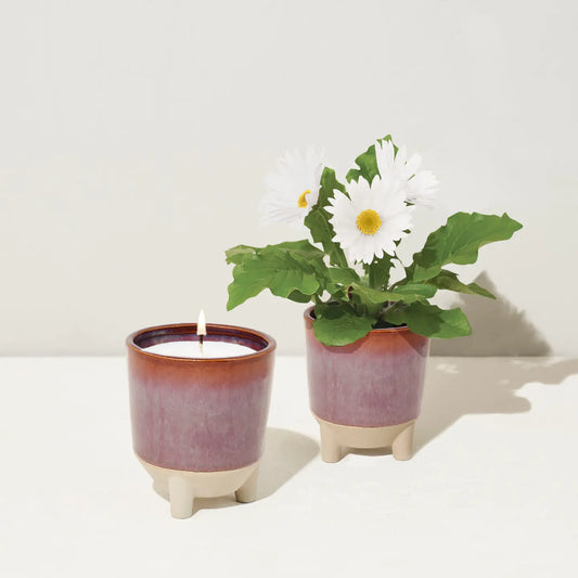 Wildflower Fields Glow + Grow  Candle