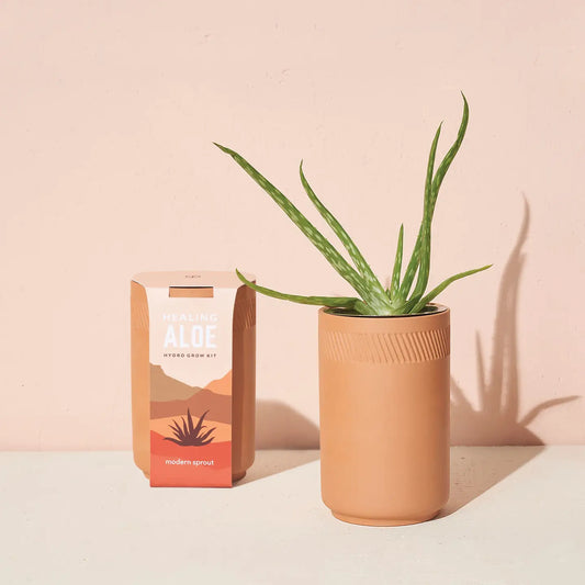 Terracotta Aloe Grow Kit